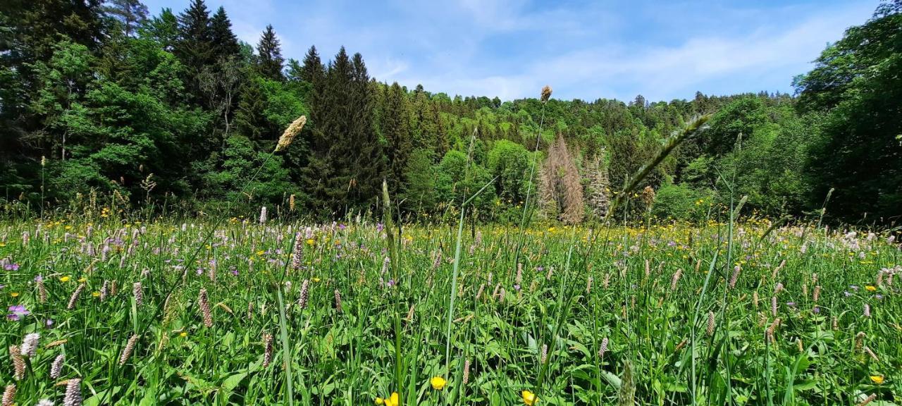 Ferienwohnung Seelust Schluchsee Exterior foto