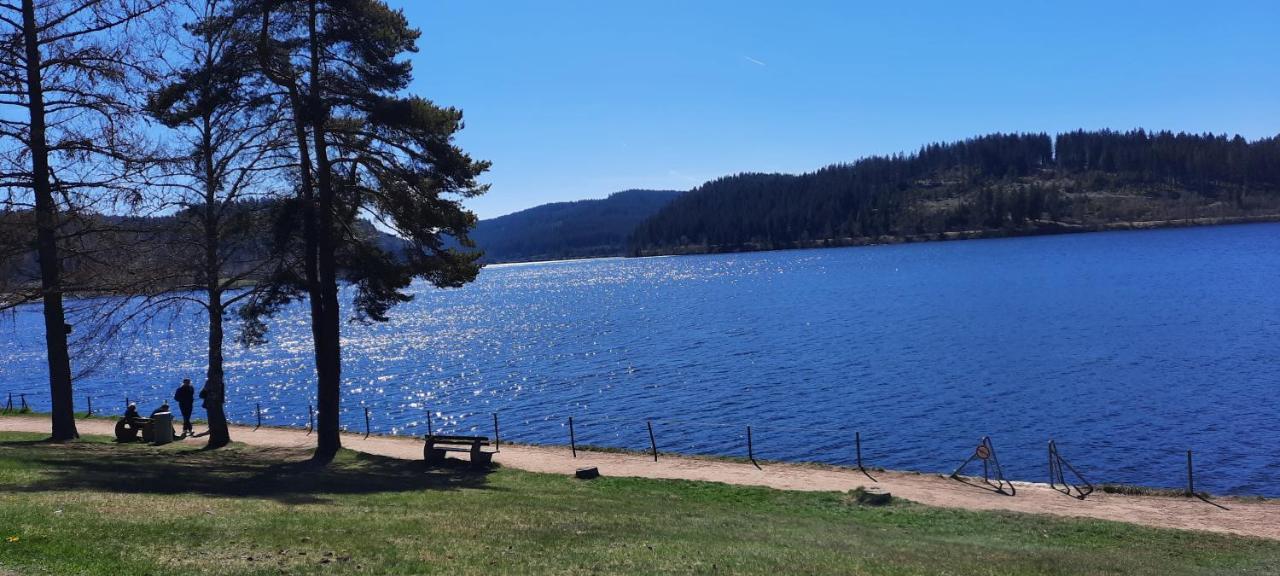 Ferienwohnung Seelust Schluchsee Exterior foto